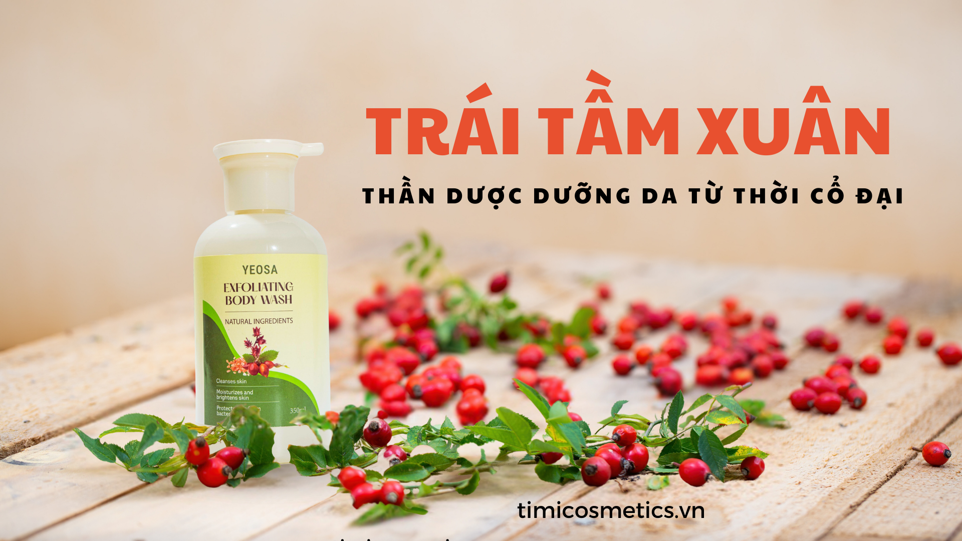 QUẢ TẦM XUÂN – BÍ MẬT LÀN DA ĐẸP VƯỢT THỜI GIAN QUẢ TẦM XUÂN – BÍ MẬT LÀN DA ĐẸP VƯỢT THỜI GIAN