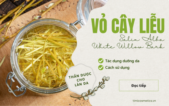 VỎ CÂY LIỄU TRẮNG – THẦN DƯỢC DƯỠNG DA SẠCH MỤN, SÁNG KHỎE TỪ TỰ NHIÊN