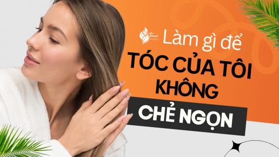Làm sao để tóc không chẻ ngọn? 5 Bí kíp phục hồi từ chuyên gia Timi Cosmetics