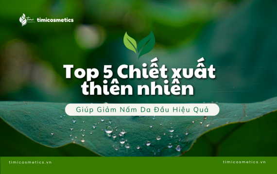 Top 5 Thành Phần Tự Nhiên Giúp Giảm Nấm Da Đầu Hiệu Quả – Bí Quyết Nuôi Dưỡng Da Đầu Khỏe Mạnh Từ Gốc