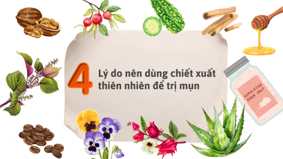 4 LÝ DO NÊN SỬ DỤNG CHIẾT XUẤT THIÊN NHIÊN TRONG ĐIỀU TRỊ MỤN 🌿✨